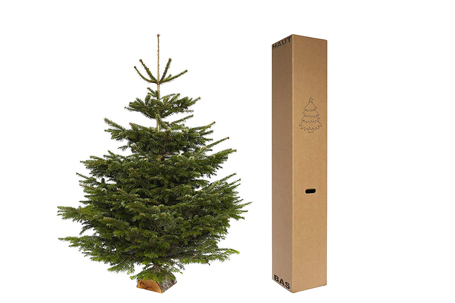 Mon Sapin de Noël livré à domicile avec Amazon Prime Now Paumée à Paris